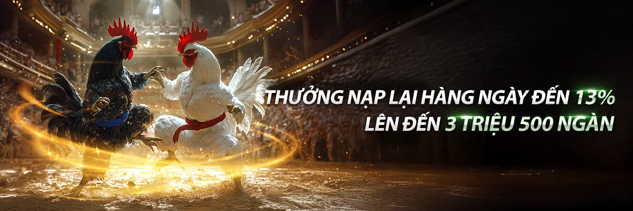 Đá gà trực tuyến 3King khuyến mãi