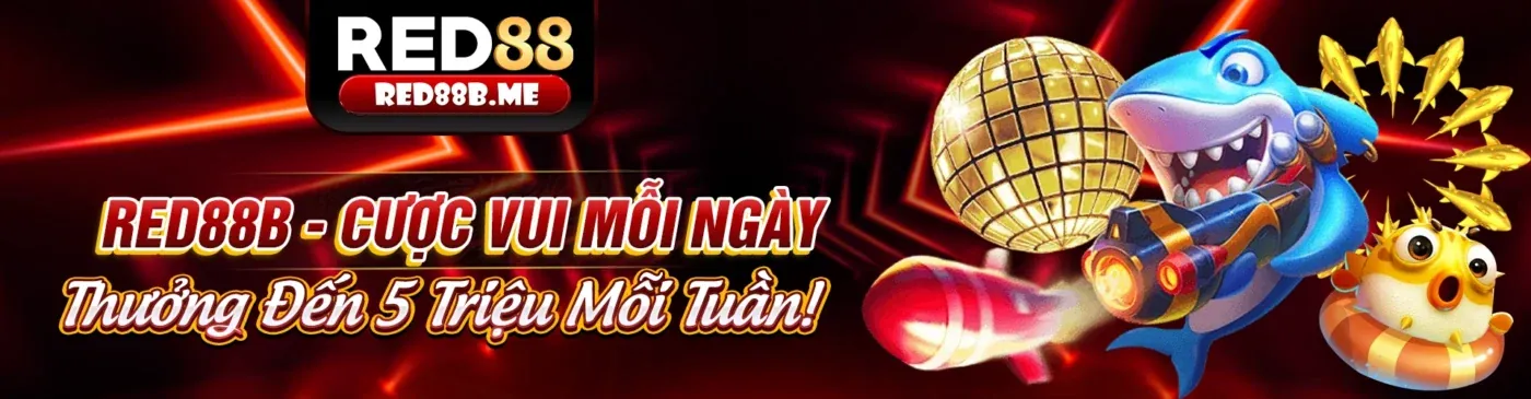 Tin tức 3King khuyến mãi và các ưu đãi hấp dẫn