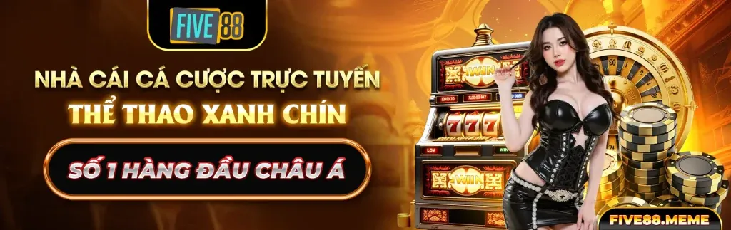 Hướng dẫn sòng bạc trực tiếp